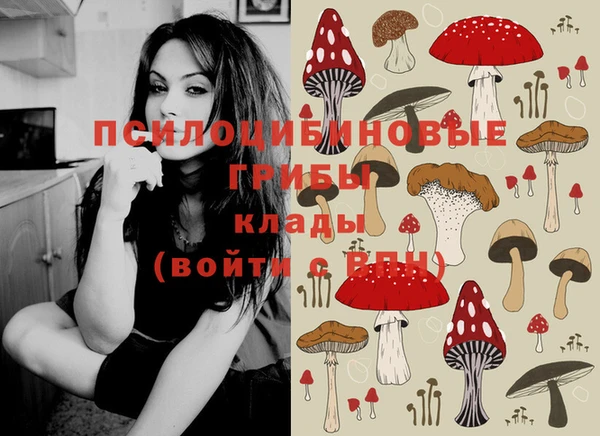 амф Михайловка