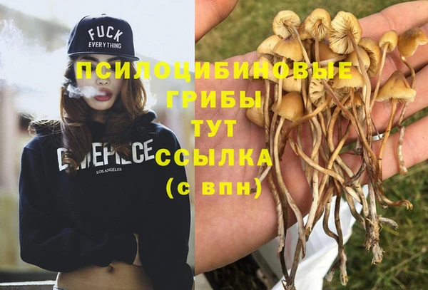 дурь Мегион