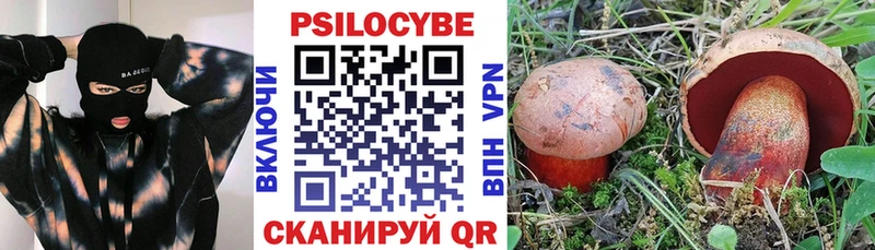 MEGA как зайти  Углегорск  Псилоцибиновые грибы ЛСД 
